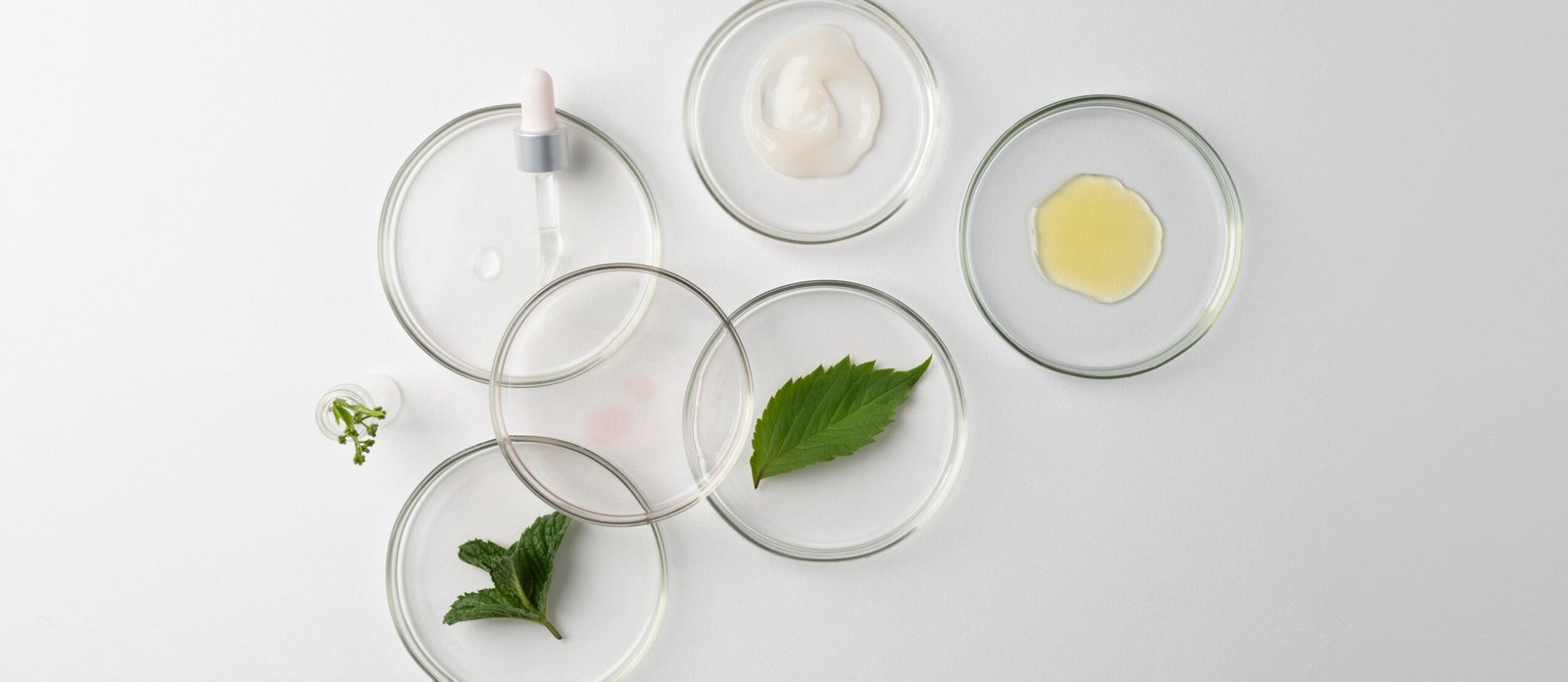 Niacinamide and Acids: Can They Be Combined?